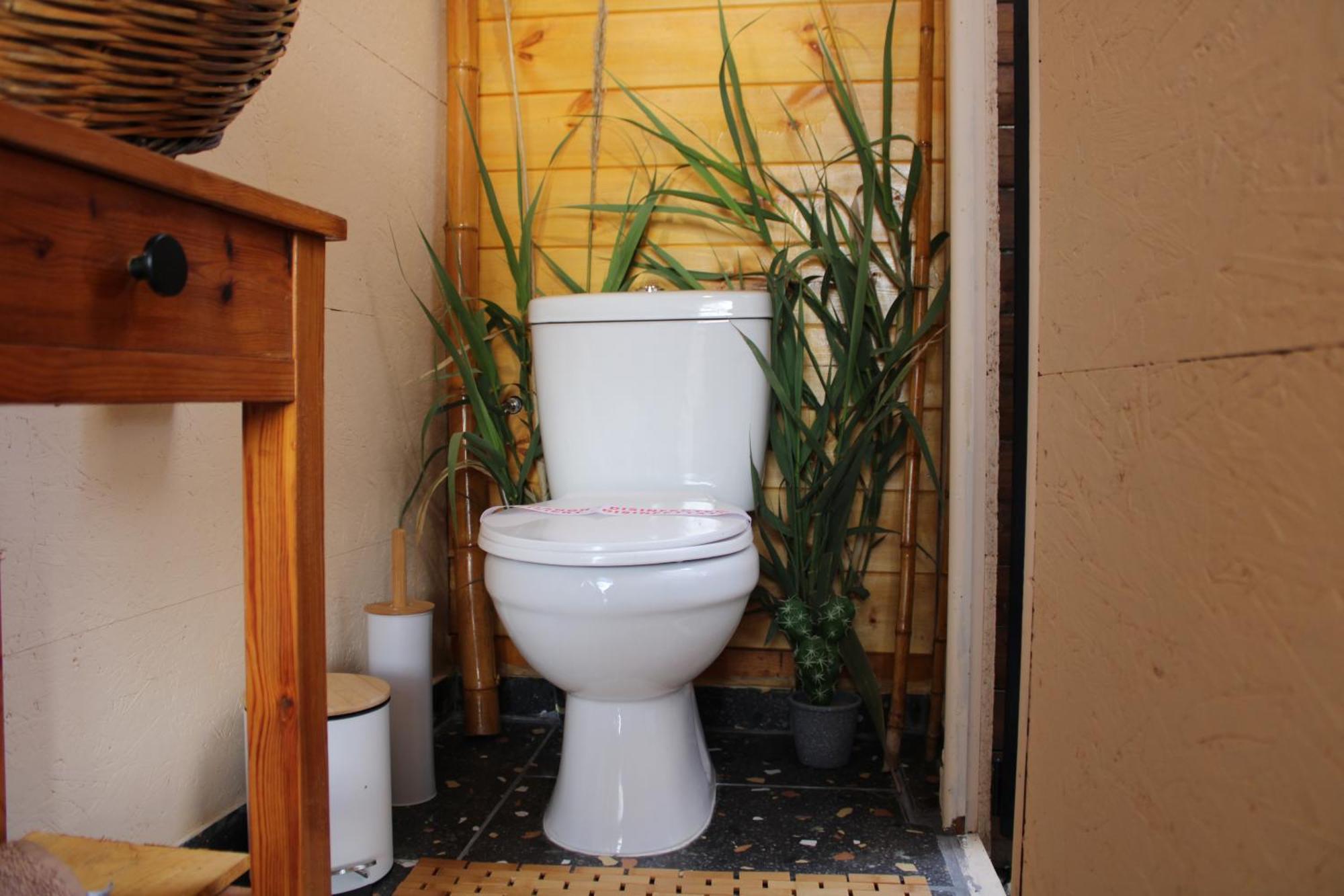 Nature Habitat Pendátio Kültér fotó