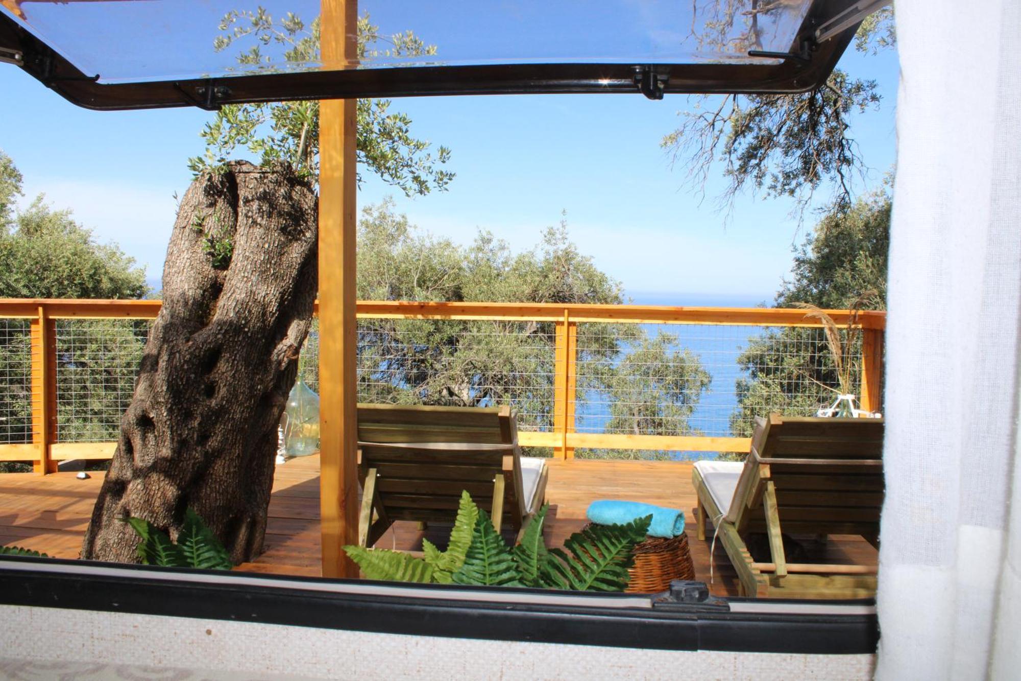 Nature Habitat Pendátio Kültér fotó