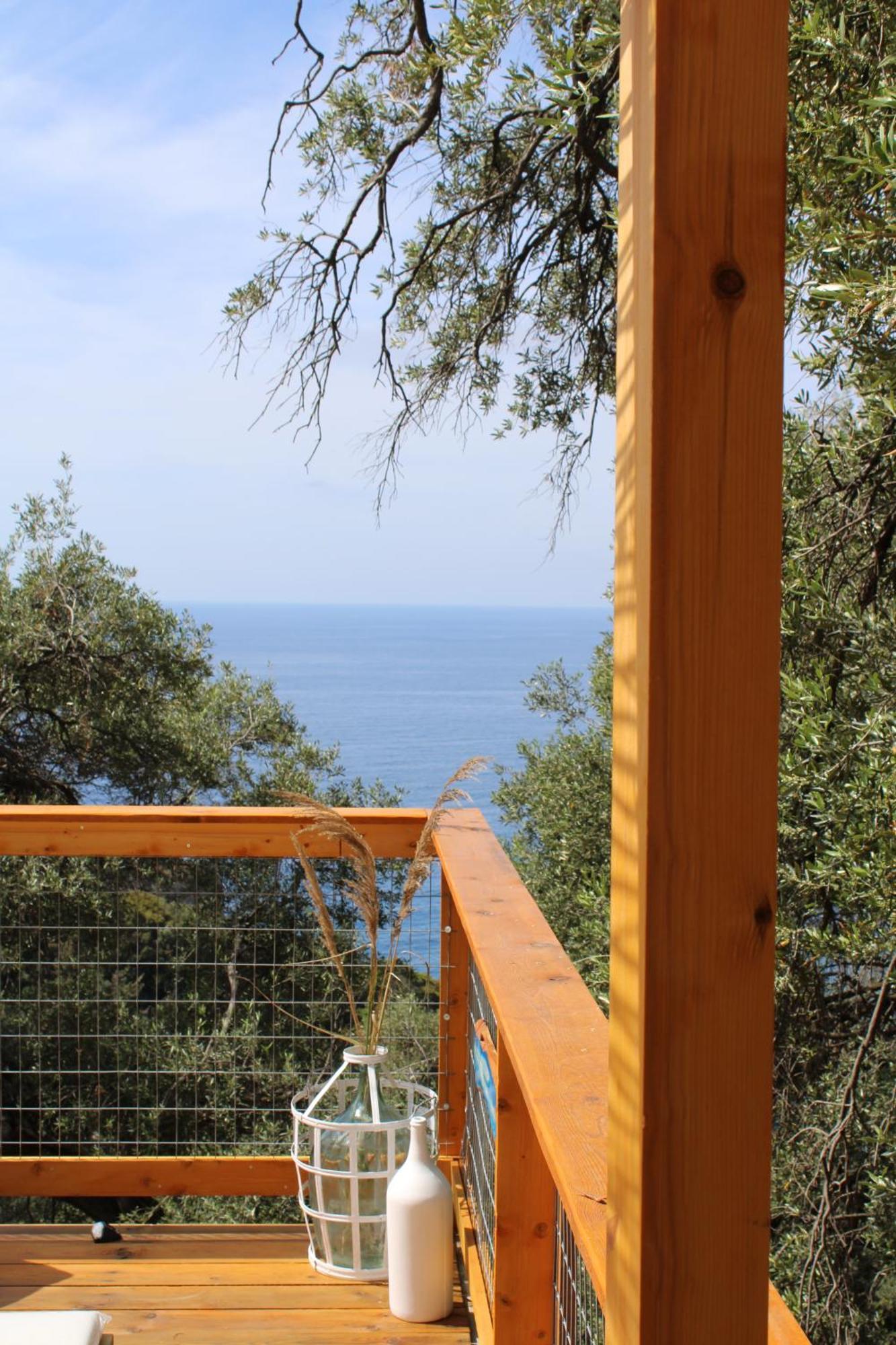 Nature Habitat Pendátio Kültér fotó
